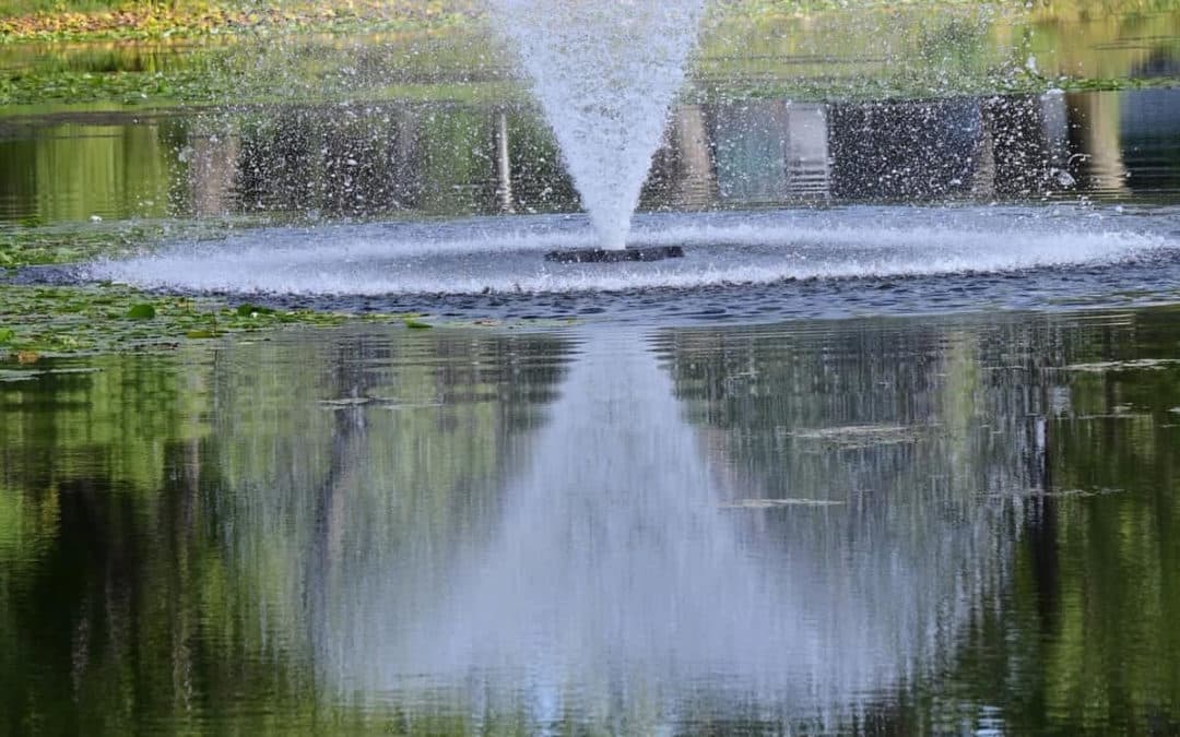 AlgaeKilling Fountains Finally Running Arnold Rotary